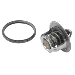 BorgWarner (Wahler) Thermostat, Kühlmittel