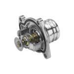 BorgWarner (Wahler) Thermostat, Kühlmittel