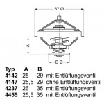 BorgWarner (Wahler) Thermostat, Kühlmittel