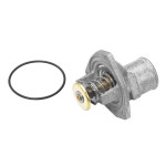 BorgWarner (Wahler) Thermostat, Kühlmittel