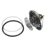 BorgWarner (Wahler) Thermostat, Kühlmittel