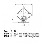 BorgWarner (Wahler) Thermostat, Kühlmittel