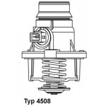BorgWarner (Wahler) Thermostat, Kühlmittel