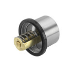 BorgWarner (Wahler) Thermostat, Kühlmittel