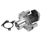 BorgWarner (Wahler) AGR-Ventil
