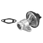 BorgWarner (Wahler) AGR-Ventil