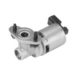 BorgWarner (Wahler) AGR-Ventil