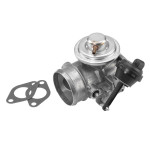 BorgWarner (Wahler) AGR-Ventil
