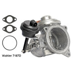 BorgWarner (Wahler) AGR-Ventil