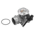 BorgWarner (Wahler) AGR-Ventil