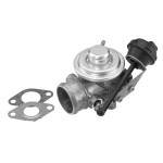 BorgWarner (Wahler) AGR-Ventil