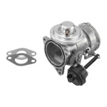 BorgWarner (Wahler) AGR-Ventil