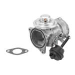 BorgWarner (Wahler) AGR-Ventil
