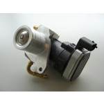 BorgWarner (Wahler) AGR-Ventil