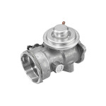 BorgWarner (Wahler) AGR-Ventil
