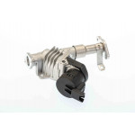 BorgWarner (Wahler) AGR-Ventil