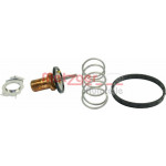 METZGER Thermostat, Kühlmittel