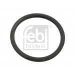 FEBI BILSTEIN Dichtung, Wasserpumpe