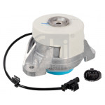 FEBI BILSTEIN Lagerung, Motor