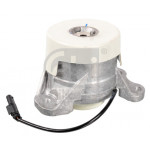 FEBI BILSTEIN Lagerung, Motor