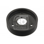 FEBI BILSTEIN Riemenscheibe, Servopumpe