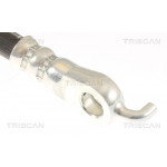 TRISCAN Bremsschlauch