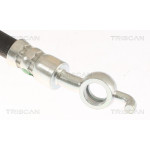 TRISCAN Bremsschlauch
