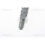 TRISCAN Bremsschlauch