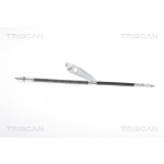 TRISCAN Bremsschlauch