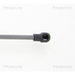 TRISCAN Gasfeder, Koffer-/Laderaum
