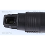 TRISCAN Gasfeder, Koffer-/Laderaum