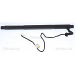 TRISCAN Gasfeder, Koffer-/Laderaum