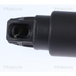 TRISCAN Gasfeder, Koffer-/Laderaum
