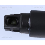 TRISCAN Gasfeder, Koffer-/Laderaum
