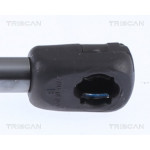 TRISCAN Gasfeder, Koffer-/Laderaum