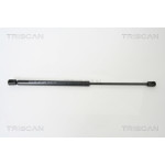 TRISCAN Gasfeder, Koffer-/Laderaum