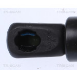 TRISCAN Gasfeder, Koffer-/Laderaum