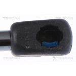 TRISCAN Gasfeder, Koffer-/Laderaum