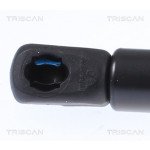TRISCAN Gasfeder, Koffer-/Laderaum