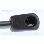 TRISCAN Gasfeder, Koffer-/Laderaum