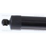 TRISCAN Gasfeder, Koffer-/Laderaum