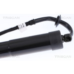 TRISCAN Gasfeder, Koffer-/Laderaum