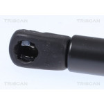 TRISCAN Gasfeder, Koffer-/Laderaum