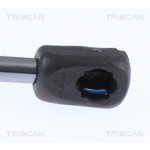 TRISCAN Gasfeder, Koffer-/Laderaum