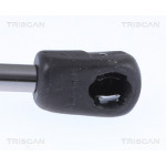 TRISCAN Gasfeder, Koffer-/Laderaum