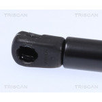 TRISCAN Gasfeder, Koffer-/Laderaum