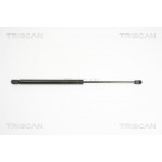 TRISCAN Gasfeder, Koffer-/Laderaum