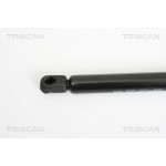 TRISCAN Gasfeder, Koffer-/Laderaum