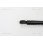 TRISCAN Gasfeder, Koffer-/Laderaum