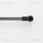 TRISCAN Gasfeder, Koffer-/Laderaum